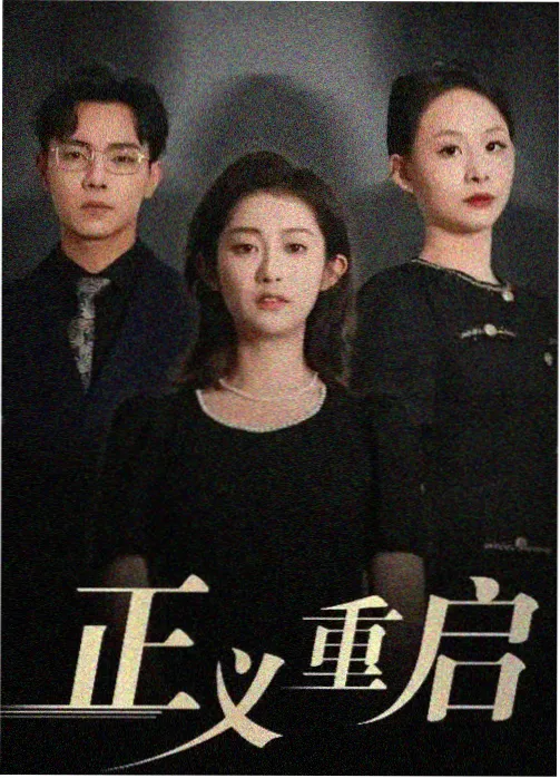 欧美剧集长夜法庭海报